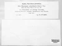 Diaporthe subordinaria image
